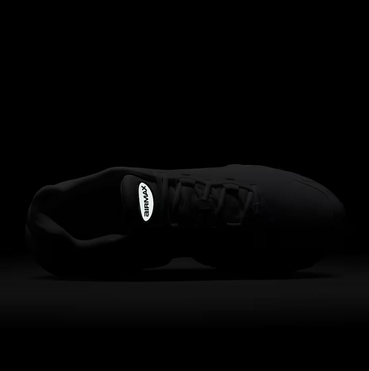 Nike Air Max DN8