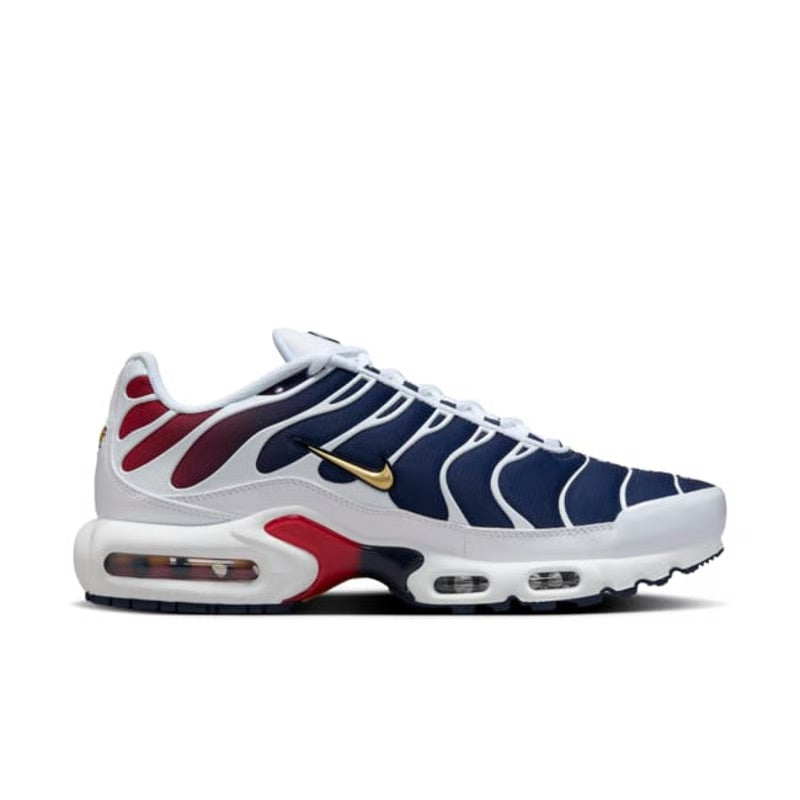 Nike Air Max Plus