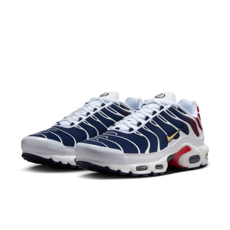 Nike Air Max Plus